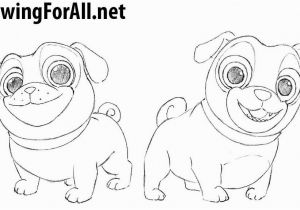 Bingo and Rolly Coloring Pages How to Draw Puppy Dog Pals