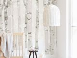 Birch forest Wall Mural Birch Woods In Winter In 2019