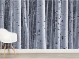 Birch forest Wall Mural Silver Birch Wallpaper Birch Tree forest