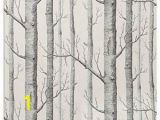 Birch Tree forest Wall Mural Haokhome Modern Birch Tree Wallpaper Non Woven forest Trunk