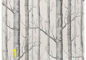 Birch Tree forest Wall Mural Haokhome Modern Birch Tree Wallpaper Non Woven forest Trunk