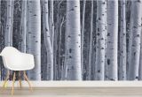 Birch Tree forest Wall Mural Silver Birch Wallpaper Birch Tree forest