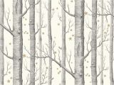 Birch Tree Wall Mural Target Cole & son Whimsical Woods & Stars 103 R Room