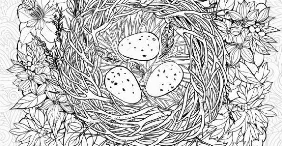 Bird Egg Coloring Page Coloring Page with A Nest and Birds Eggs