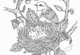 Bird Nest Coloring Page Adult Coloring Page Bird with Bird S Nest original Art