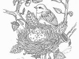 Bird Nest Coloring Page Adult Coloring Page Bird with Bird S Nest original Art