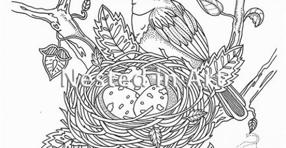 Bird Nest Coloring Page Adult Coloring Page Bird with Bird S Nest original Art