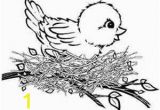 Bird Nest Coloring Page Bird Coloring Pages Cenul – Free Coloring Pages for Kids