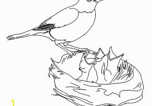 Bird Nest Coloring Page Bird Free Clipart 143