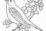 Bird Nest Coloring Page Coloring Page A Bird Nest