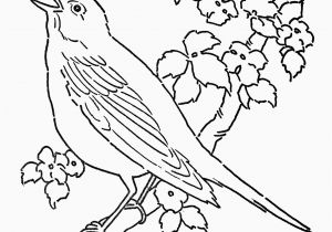 Bird Nest Coloring Page Coloring Page A Bird Nest