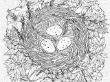 Bird Nest Coloring Page Coloring Page with A Nest and Birds Eggs