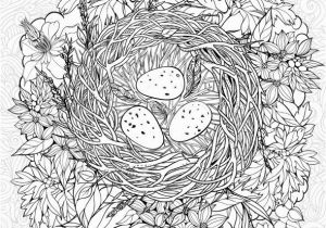 Bird Nest Coloring Page Coloring Page with A Nest and Birds Eggs