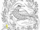 Bird Nest Coloring Page Free Printable Coloring Pages Birds