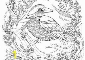 Bird Nest Coloring Page Free Printable Coloring Pages Birds