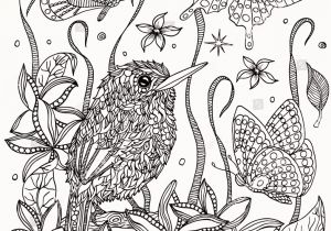 Bird Of Paradise Coloring Page 30 Fresh Bird Paradise Coloring Page