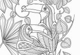 Bird Of Paradise Coloring Page Keep Calm and Color Birds Of Paradise Coloring Book Free