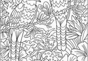 Bird Of Paradise Coloring Page Keep Calm and Color Birds Of Paradise Coloring Book Free