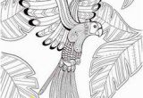 Bird Of Paradise Coloring Page Keep Calm and Color Birds Of Paradise Coloring Book Free