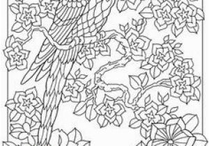 Bird Of Paradise Coloring Page Keep Calm and Color Birds Of Paradise Coloring Book Free