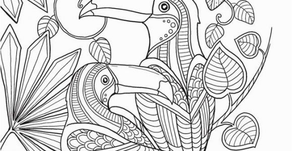 Bird Of Paradise Coloring Page Keep Calm and Color Birds Of Paradise Coloring Book Free