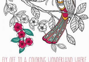 Bird Of Paradise Coloring Page Keep Calm and Color Birds Of Paradise Coloring Book