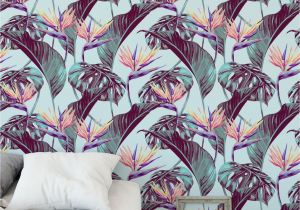Birds Of Paradise Wall Mural Bird Of Paradise Removable Wallpaper Self Adhesive