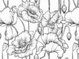 Black and White Flower Wall Mural Black and White Flower Wallpaper