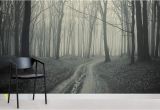 Black and White forest Wall Mural Black and White forest Path Mural