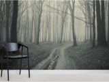 Black and White forest Wall Mural Black and White forest Path Mural