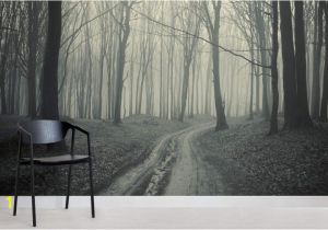 Black and White forest Wall Mural Black and White forest Path Mural