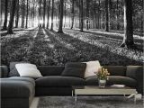 Black and White forest Wall Mural Bws Black & White forest