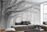 Black and White forest Wall Mural why Wandbilder Schlafzimmer Modern Had Been so Popular Till