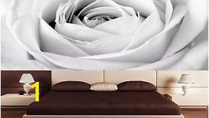 Black and White Rose Wall Mural Black and White Rose Close Up Photo Wallpaper Wall Mural