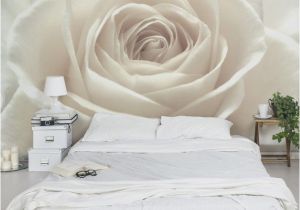 Black and White Rose Wall Mural Rosentapete Fototapete Rosen Pretty White Rose Blumen