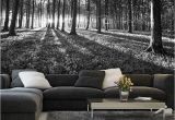 Black and White Tree Wall Mural Bws Black & White forest