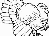 Black and White Turkey Coloring Pages Free Turkey Coloring Pages