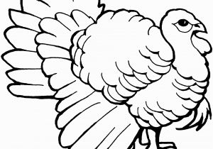 Black and White Turkey Coloring Pages Free Turkey Coloring Pages