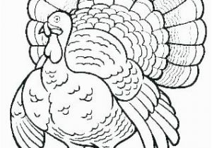 Black and White Turkey Coloring Pages Turkey Coloring Page Black and White Turkey Coloring Pages Black and