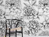 Black and White Wall Murals Uk Colour In