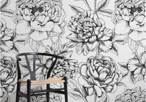 Black and White Wall Murals Uk Colour In