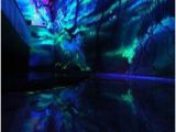 Blacklight Wall Murals Die 134 Besten Bilder Von Blacklight