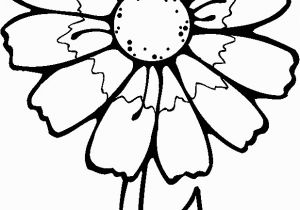 Blank Flower Coloring Pages Printable Flowers to Color Flowers Coloring Pages Kids