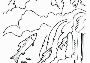 Blaziken Coloring Page Chinook Salmon Coloring Page Awesome Chinook Drawing at Getdrawings