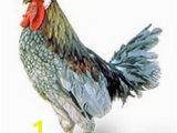 Blue Hen Chicken Coloring Page 82 Best Delaware Blue Hen Images On Pinterest