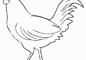 Blue Hen Chicken Coloring Page Free Rooster to Print