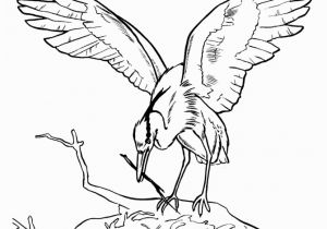 Blue Heron Coloring Page Animal Drawings Coloring Pages