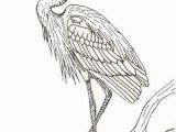 Blue Heron Coloring Page Blue Heron Coloring Page Louisiana