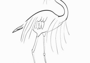 Blue Heron Coloring Page Coloring Great Blue Heron Coloring Page Birds Prey Colouring