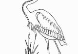 Blue Heron Coloring Page Coloring Page Great Blue Heron Coloring Pages